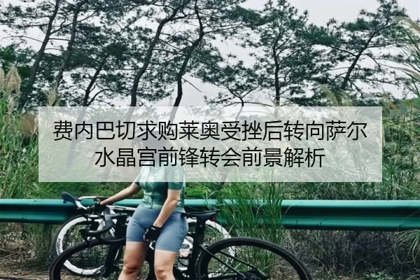 费内巴切求购莱奥受挫后转向萨尔 水晶宫前锋转会前景解析