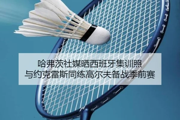 哈弗茨社媒晒西班牙集训照 与约克雷斯同练高尔夫备战季前赛